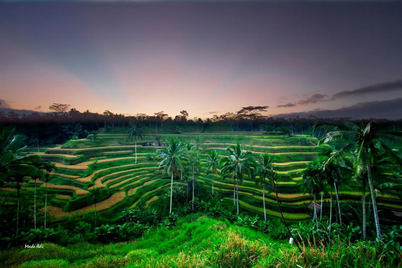 Puri Padma Hotel Ubud  Exterior photo