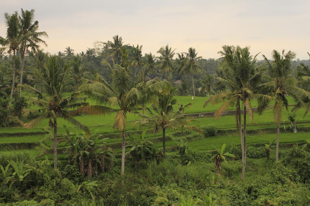 Puri Padma Hotel Ubud  Exterior photo